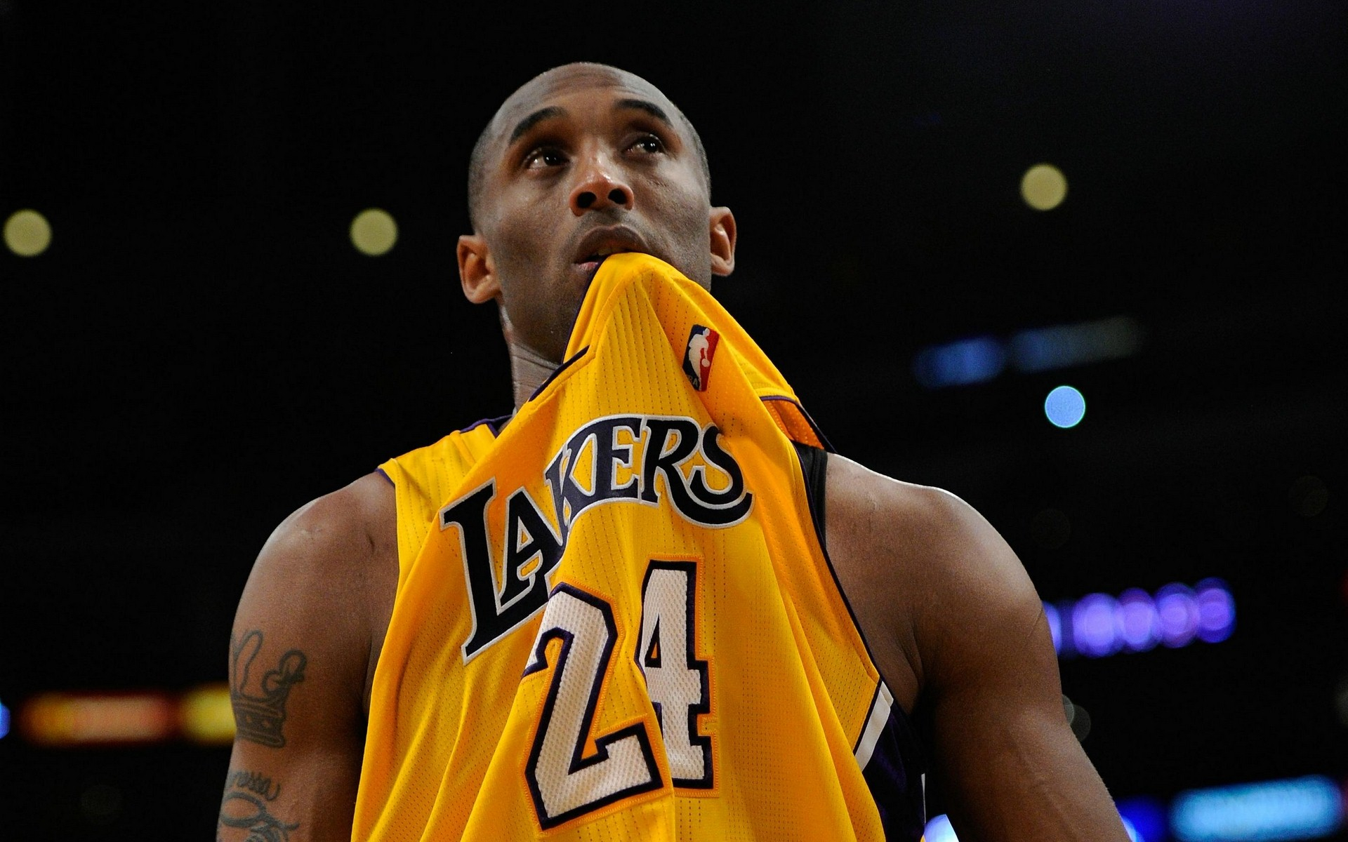 他在团队中 他在团队中